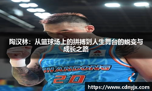陶汉林：从篮球场上的拼搏到人生舞台的蜕变与成长之路