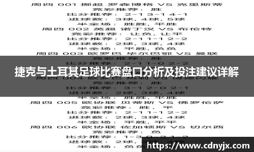 捷克与土耳其足球比赛盘口分析及投注建议详解