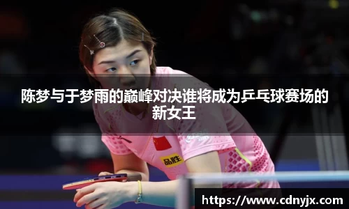 陈梦与于梦雨的巅峰对决谁将成为乒乓球赛场的新女王