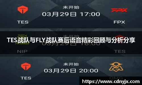 TES战队与FLY战队赛后语音精彩回顾与分析分享