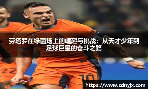 皇冠体育官网